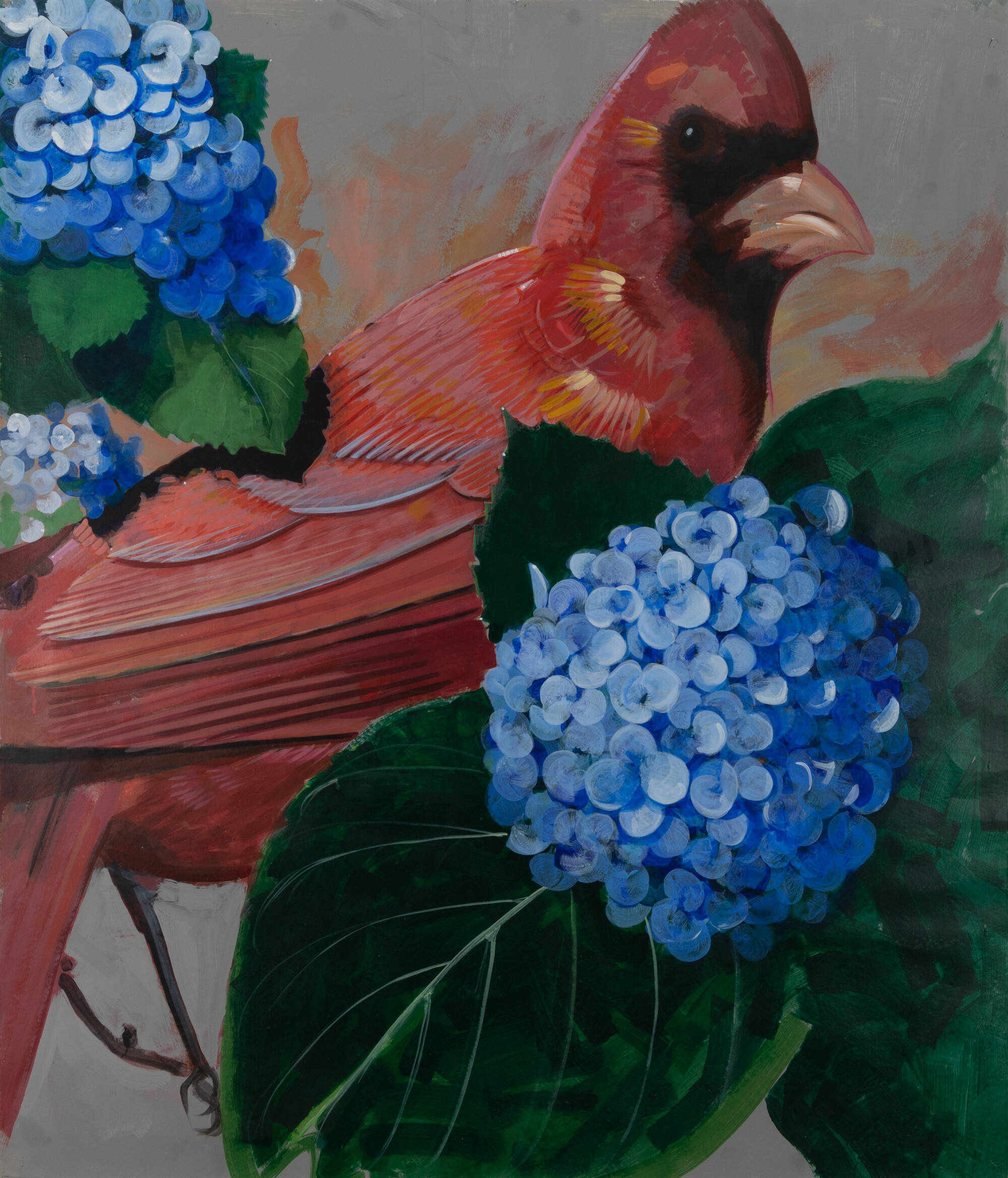 Red cardinal in center with green leaves and bright blue flowers.